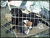 DSCF0019.JPG