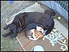 DSCF0043.JPG