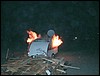 DSCF0056.JPG